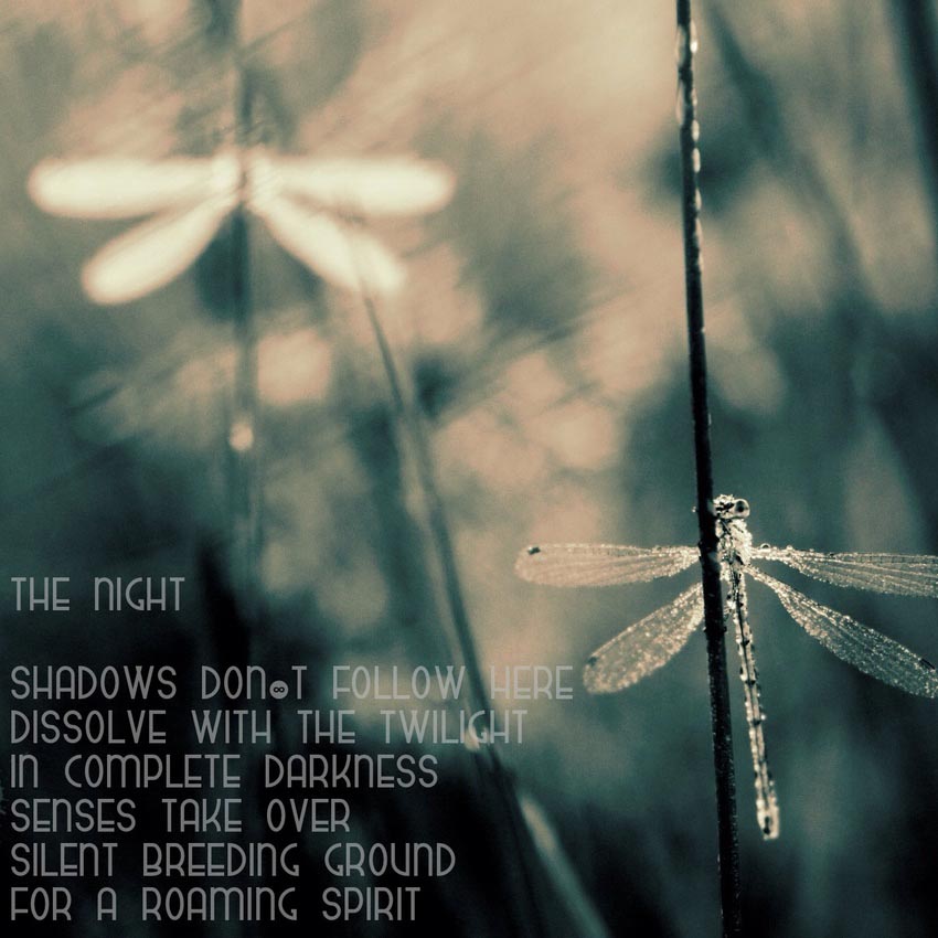 Visual Poem THE NIGHT