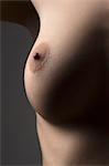 Image for the poem nipple