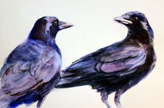 Image for the poem Ravens