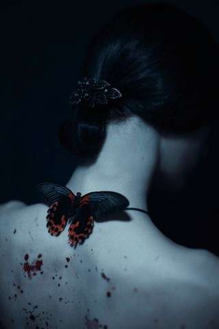 Image for the poem Butterfly Spine 