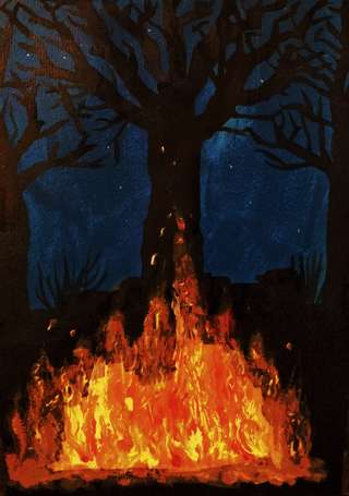 Image for the poem Bonfire by Twilght 