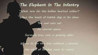 The Elephant In The Infantry