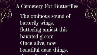 A Cemetery For Butterflies