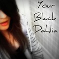 0HisBlackDahlia0