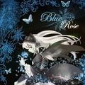Blue_Rose11