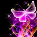 Dancing_Butterfly