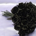 blackrose319