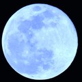 moon_looker