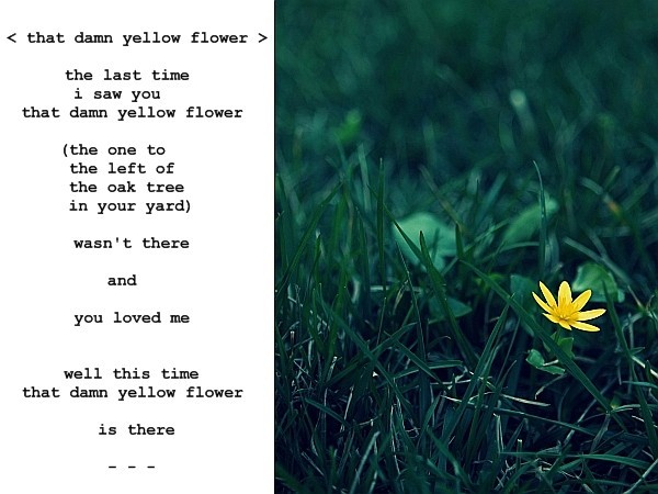 Visual Poem   < that damn yellow flower >