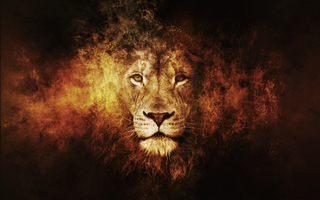 Image for the poem Look Of The Lion