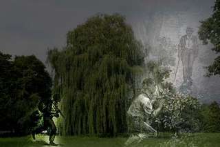 Image for the poem Weeping Willow