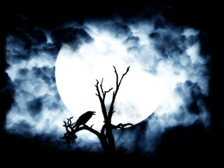 Image for the poem Creature Caw