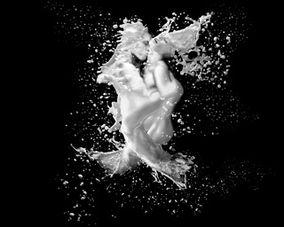 Image for the poem A Splash Of White