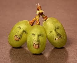 Image for the poem Sour Grapes 