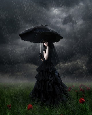 Image for the poem Umbrella Pain