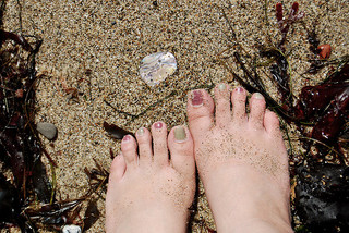 Image for the poem Pastel painted toes