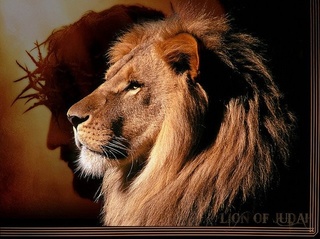 Image for the poem Lion of Judah 