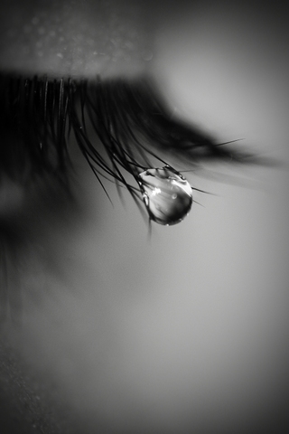 Image for the poem Eyelash Tears