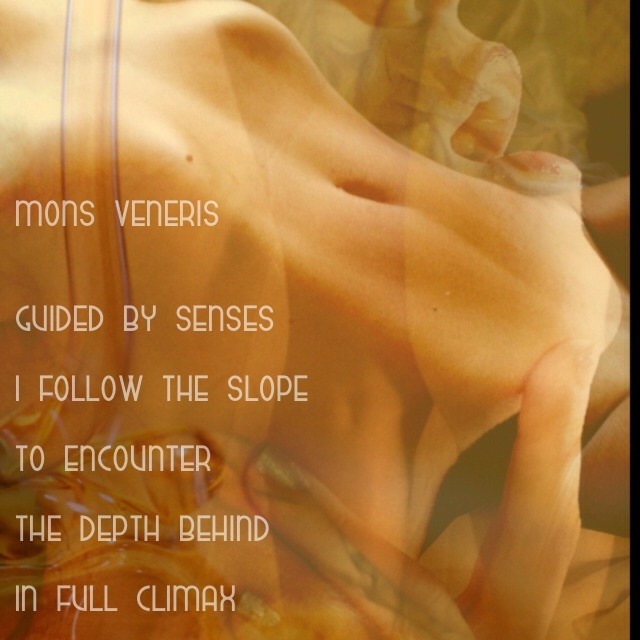 Visual Poem MONS VENERIS