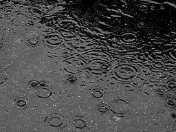 Image for the poem Much Needed Rain