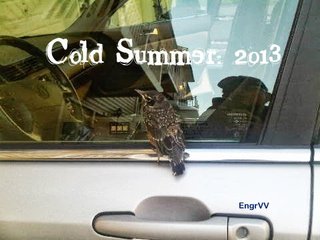 Image for the poem One Cold Summer