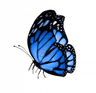 Image for the poem Wings of butterfly (continuation of "my favorite pillow")