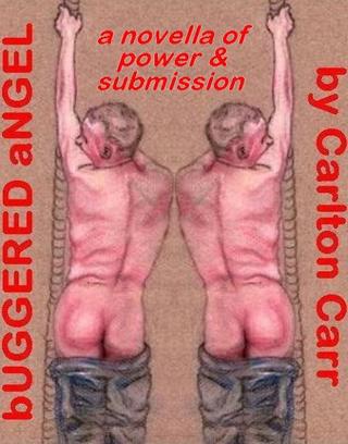 Image for the poem BUGGERED ANGEL (Power and Submission) One: Passion Play 