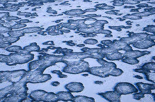 Image for the poem Fringe