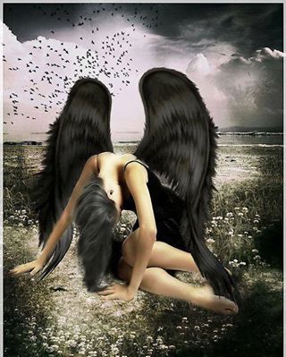 Image for the poem Fallen Angel