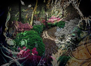 Image for the poem The Garden of Evil 