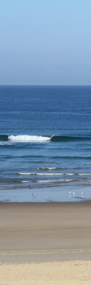 Image for the poem Renku : Love of Sea and Sky 