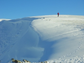 Image for the poem Quietly Stepping together