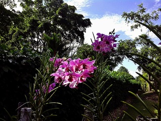 Image for the poem A Pretty Cloudy Sky