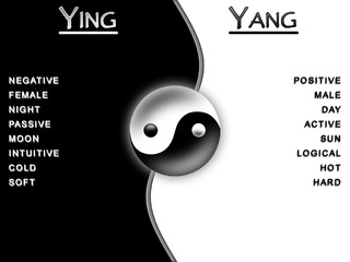 Image for the poem Ying and Yang Theory