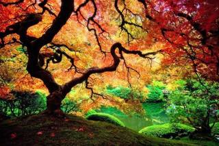 Image for the poem  Autumn Symphony