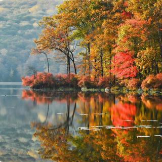 Image for the poem Pantoum : Happiness of Autumn