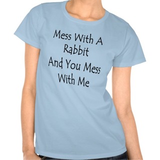 Image for the poem Me & Rabbit Testing