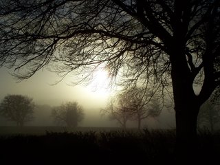 Image for the poem Weeping Under the Winter Tree