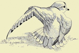 Image for the poem Broken Wings