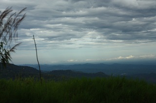 Image for the poem The refrain of the rain 