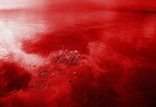 Image for the poem Blood rain 