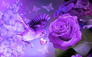 Image for the poem Purple Hearts & Roses
