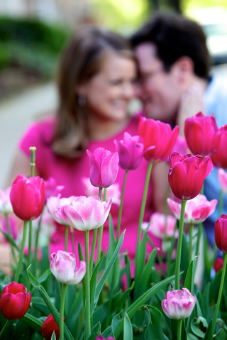 Image for the poem My man an angel in tulips