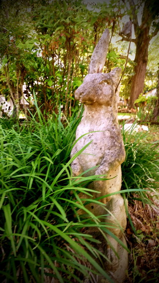 Image for the poem Concrete Rabbit