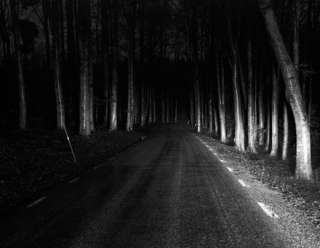 Image for the poem Tree Covered Road 