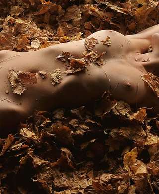 Image for the poem Fallen Leaves (...blown away )