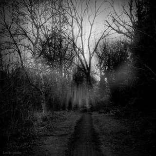 Image for the poem Pathway To Perdition