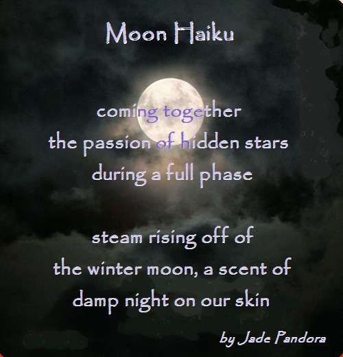 haiki moon earbuds