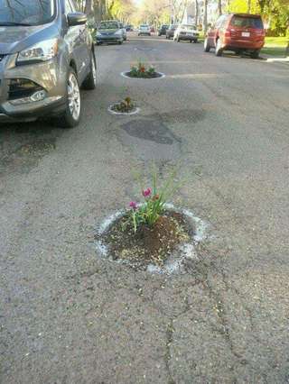 Image for the poem My Pothole...