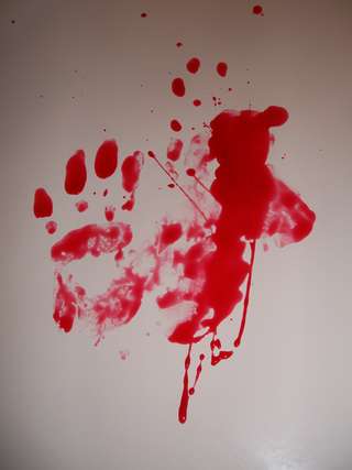 Image for the poem Cold Heart/Bloody Palms